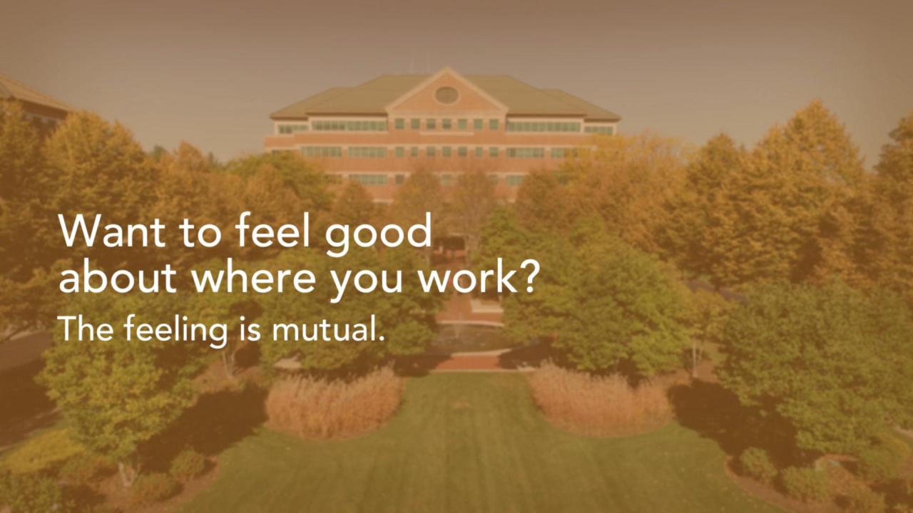 Careers at Amica | Amica Mutual Insurance Company jobs Amica whole life insurance
